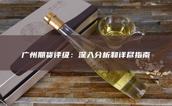 深入分析和详尽指南