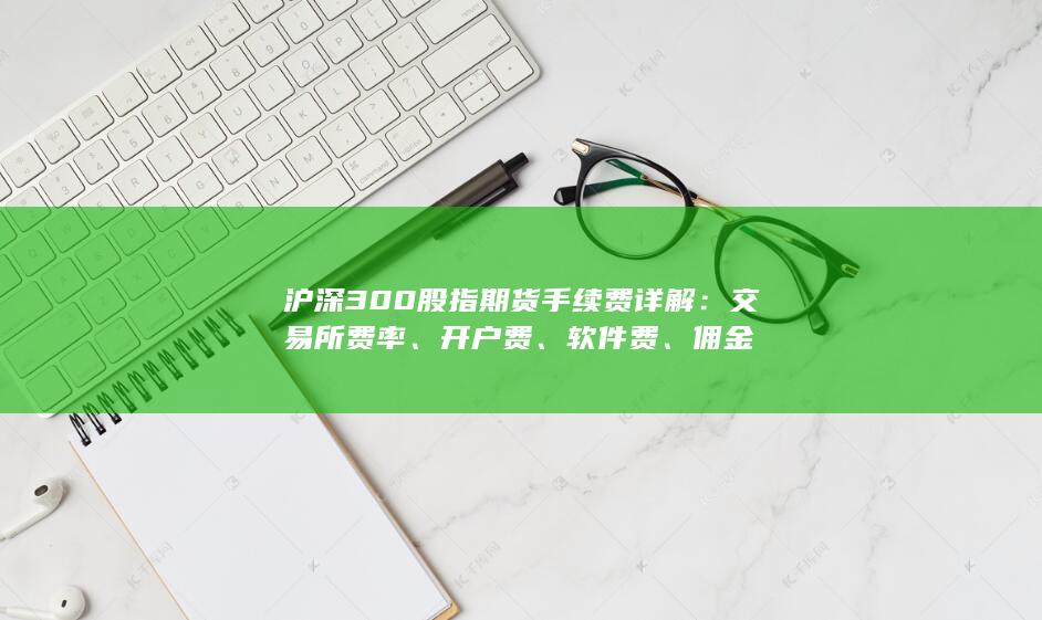 软件费