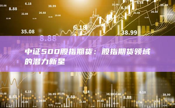 股指期货领域的潜力新星