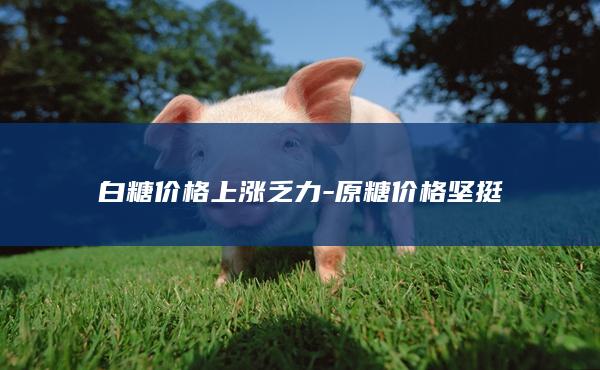 白糖价格上涨乏力