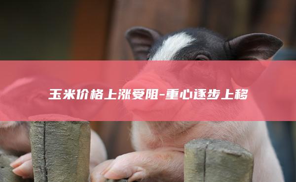 玉米期货主力
